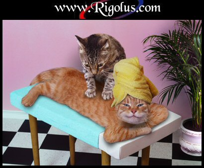 TOUJOURS NOUS!