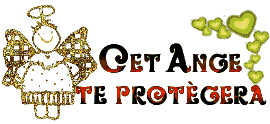 POUR PROTEGER NOTRE BLOG