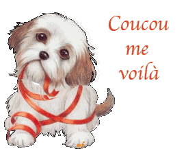 COUCOU